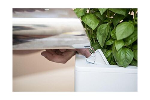 Glowpear Self-Watering Mini Bench Planter - 23.6" in Pot, UV Stable, Scalable...