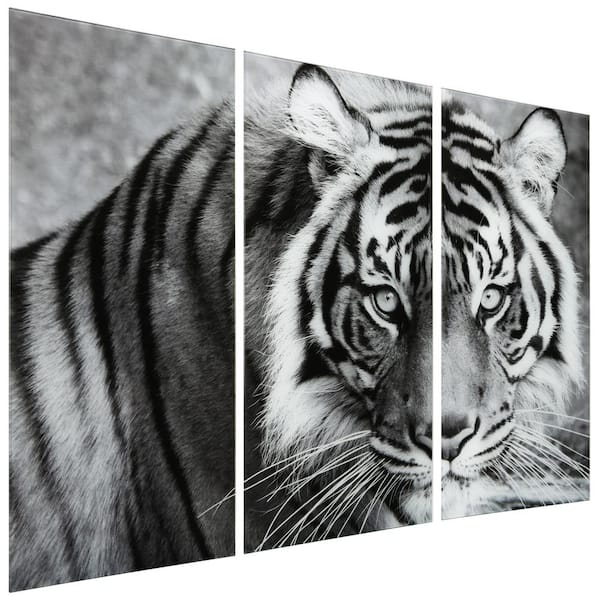 Tiger ABC Frameless Free Floating Tempered Glass Panel Graphic Wall Art Set of 3, each 72