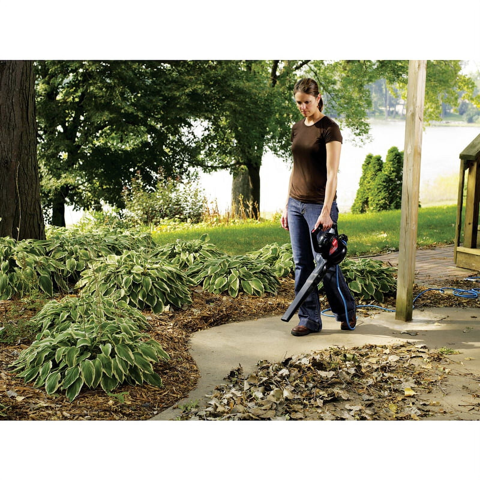 Toro Power Sweep Electric Handheld Blower