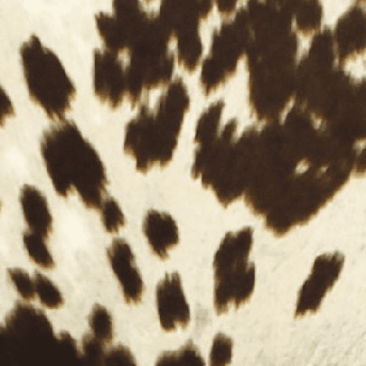 Fox Hill Ellis Rolled Arm Lounge Chair, Red