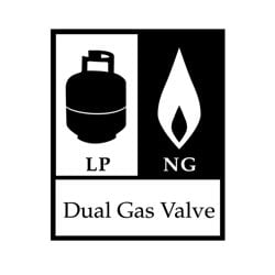 Two Burner Dual Fuel Gas Grill