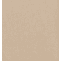 Lacoo Dining Chairs Modern Upholstered Set of 4 Fabric Dining Chairs with Wood Legs, Gray