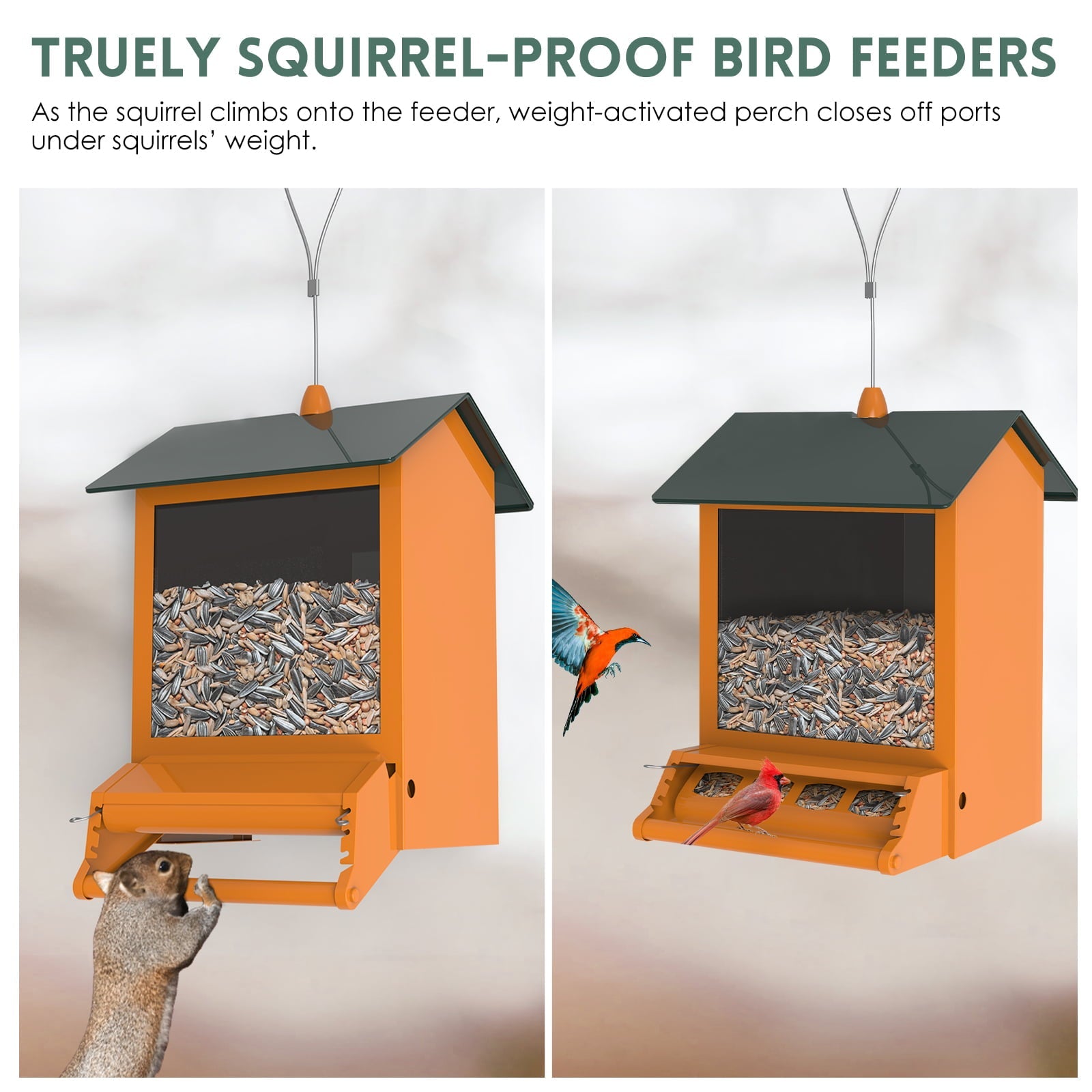Digipettor 6 lbs Squirrel-Proof Outdoor Wild Bird Feeder with Weight-Activated Perches, 4 Feeding Ports for Garden Yard Outside Decoration