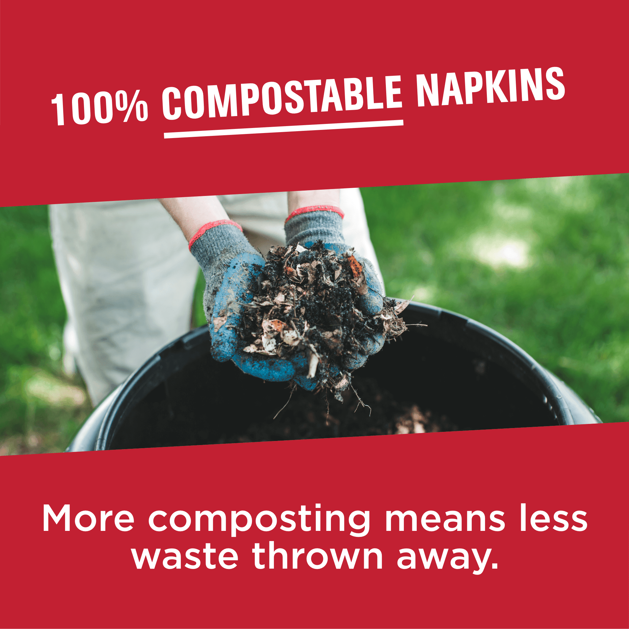 Vanity Fair Everyday Disposable Paper Napkins, White, 300 Count