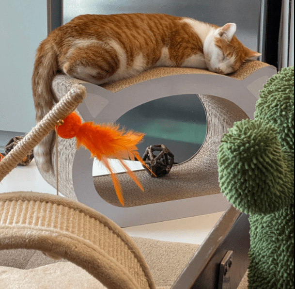 Coziwow Cat Scratcher Cardboard Scratch Lounge Pad, Cat Bed Furniture House W/ Catnip