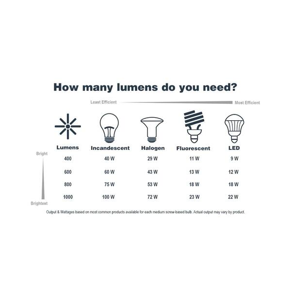 Drake 24 in. 3-Light Brushed Gold Modern Vanity with Clear Hammered Glass Shades