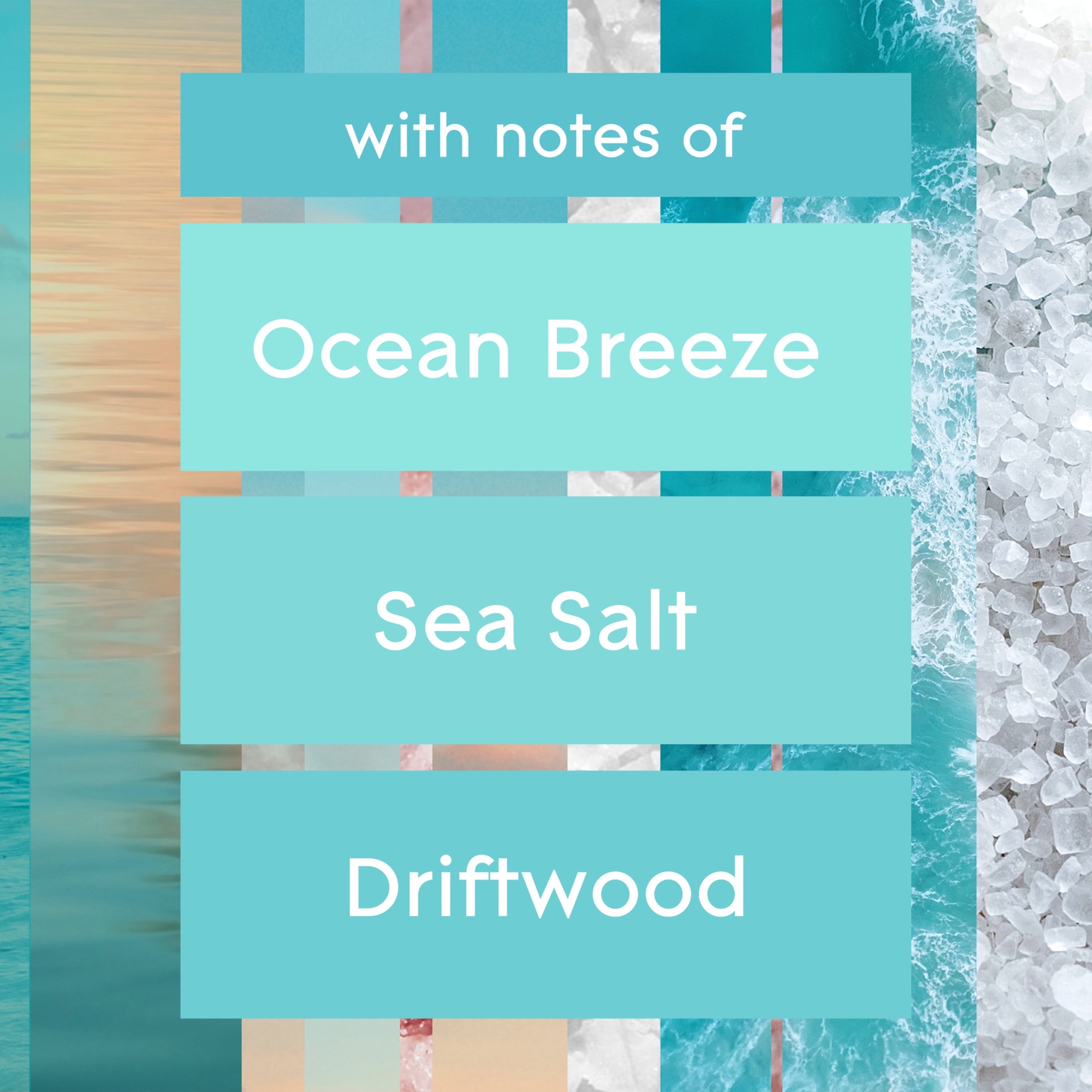 Glade Automatic Spray Refills, Air Freshener, Sky & Sea Salt, 6.2 Oz Each, Pack of 2