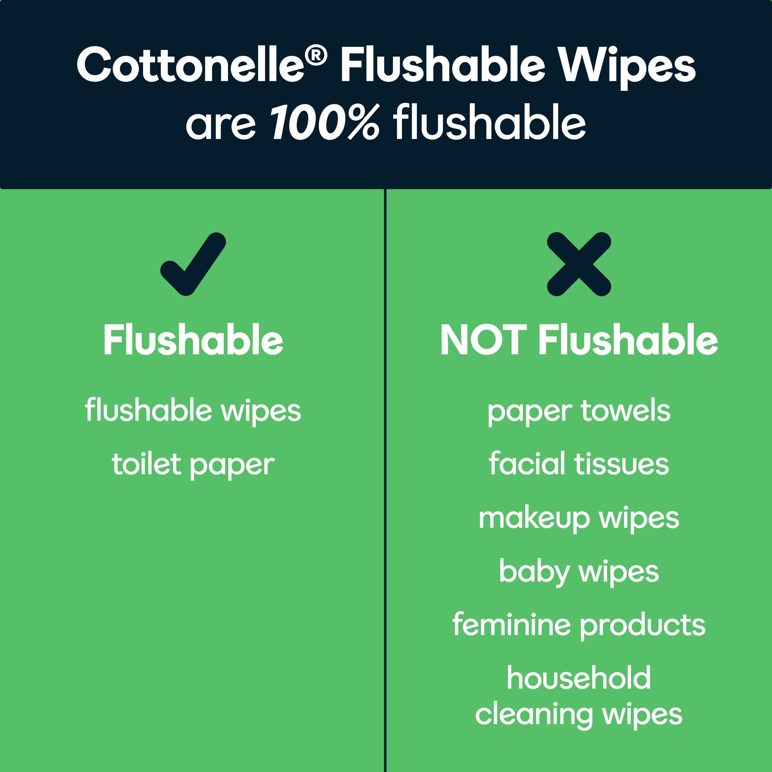 Cottonelle GentlePlus Flushable Wipes, 2 Flip-Top Packs, 42 Wipes per Pack (84 Total)