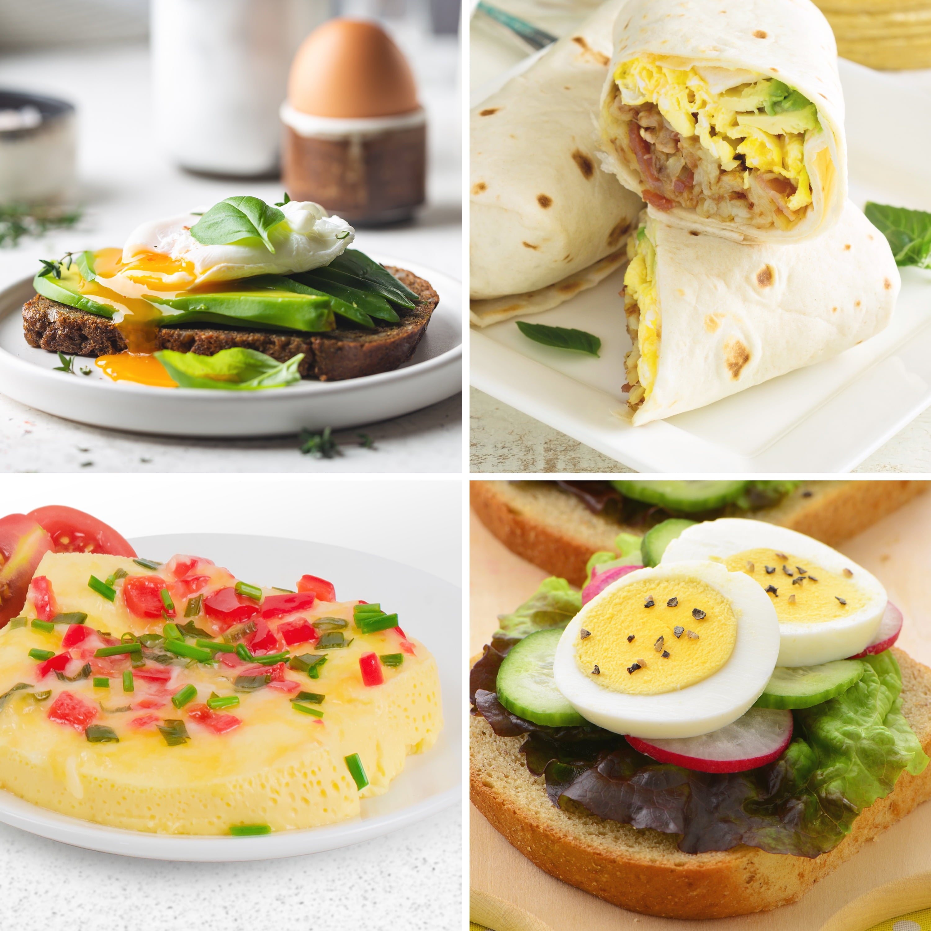 MyMini Premium 7-Egg Cooker, Teal