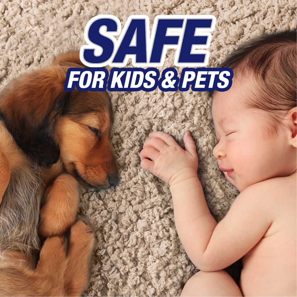 Resolve Pet High Traffic Carpet Foam, 22oz Can