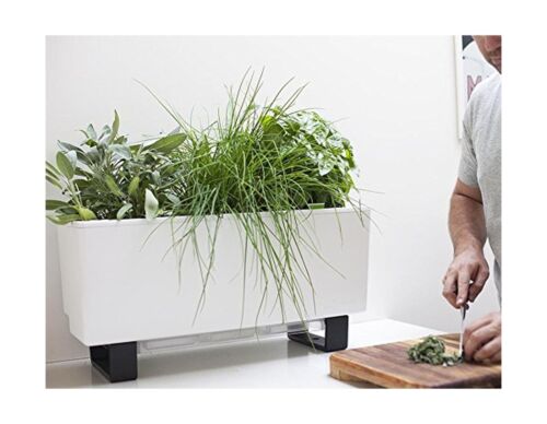 Glowpear Self-Watering Mini Bench Planter - 23.6" in Pot, UV Stable, Scalable...