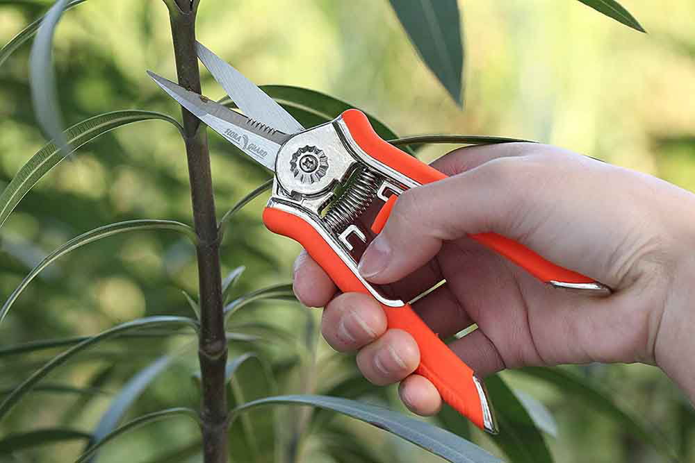 FLORA GUARD 6.5 inch Garden Shears , Hand Pruning Shears with Straight Tip Stainless Steel Blades (Orange)