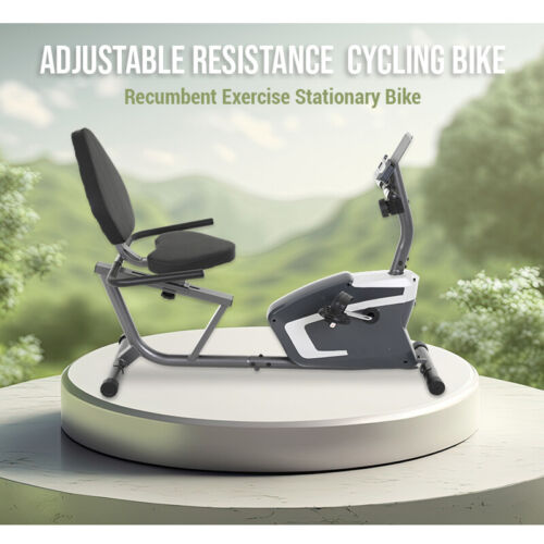 Recumbent Exercise Bike for Adults Seniors, Indoor Stationary Bike