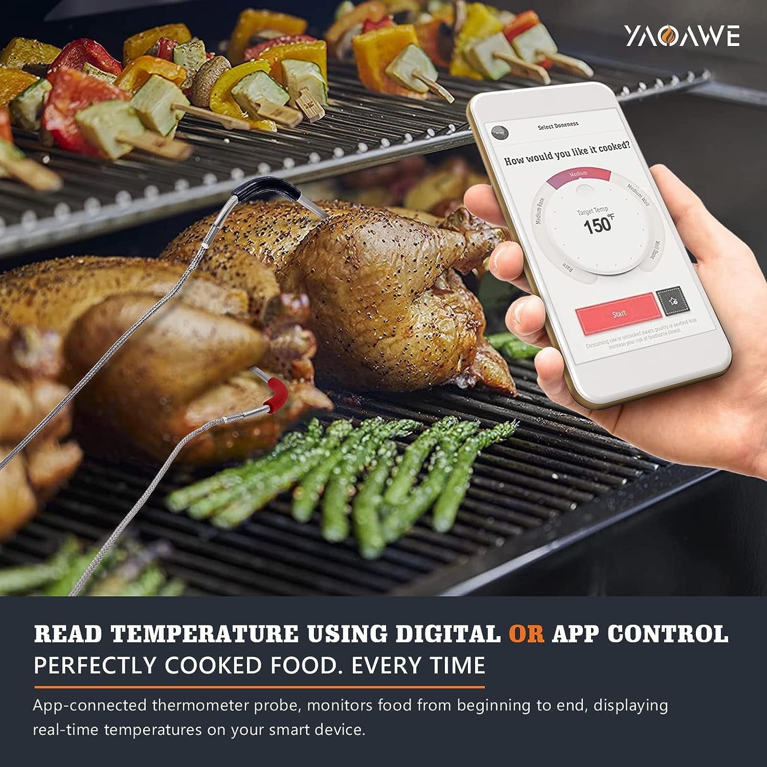 YAOAWE 2-Pack iGrill Pro Meat Probe Replacement for All Weber Genesis/Spirit Gas and SmokeFire Pellet Grills, 2.5mm Plug Temperature Probe Kit for Weber