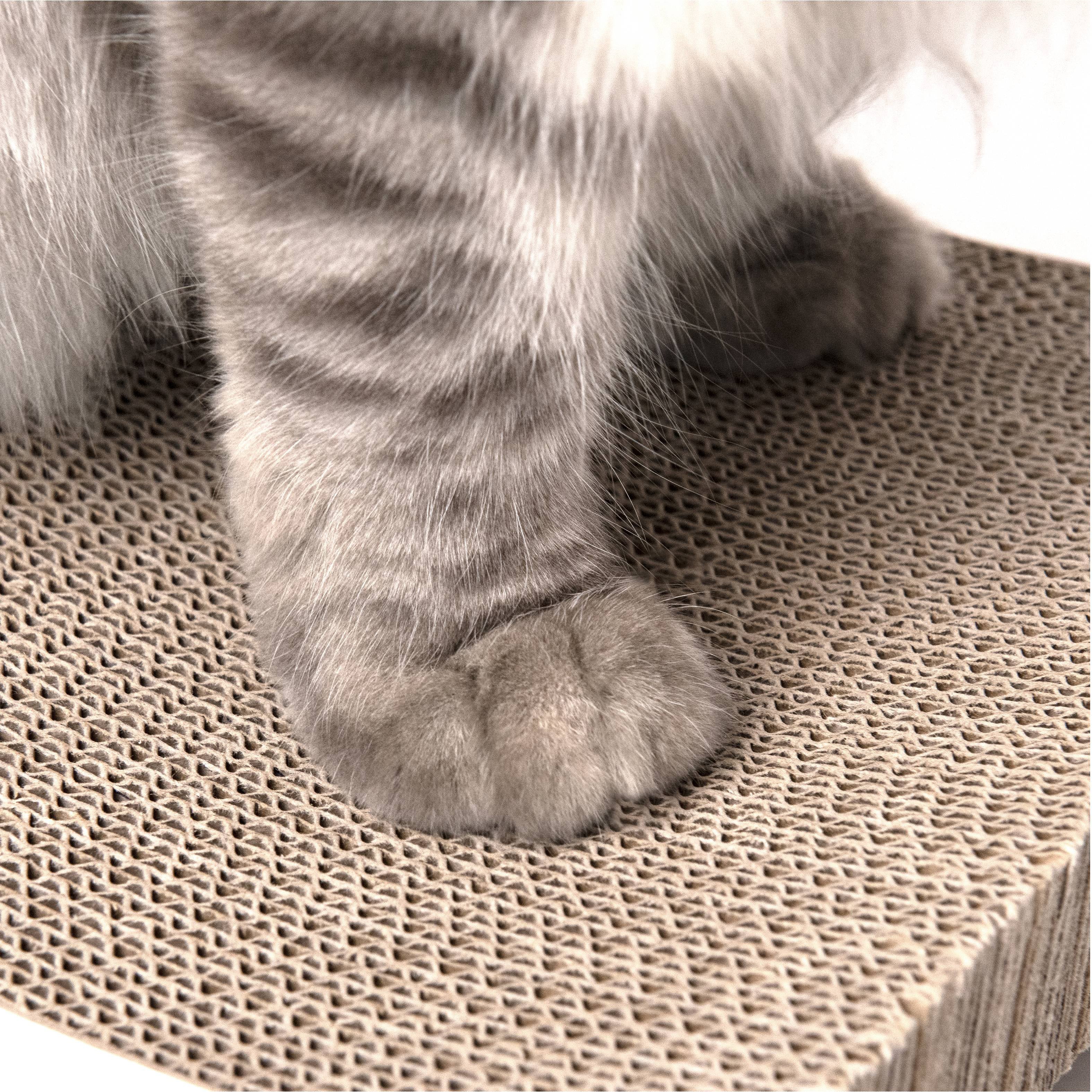 Conlun Cat Scratcher Cardboard with Premium Scratch Textures Design, Durable, Reversible