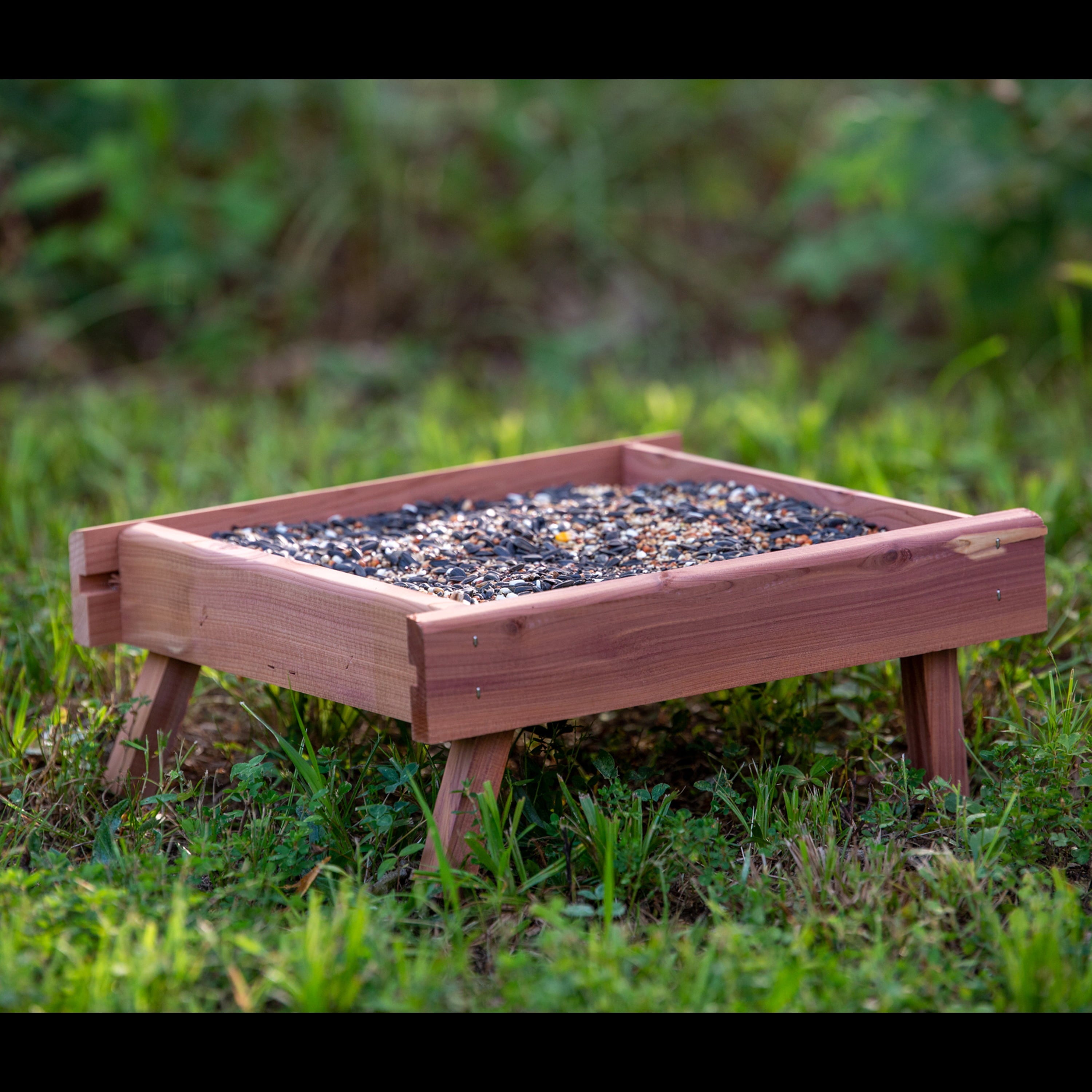 Pennington Red Cedar Wild Bird Ground Feeder, 12