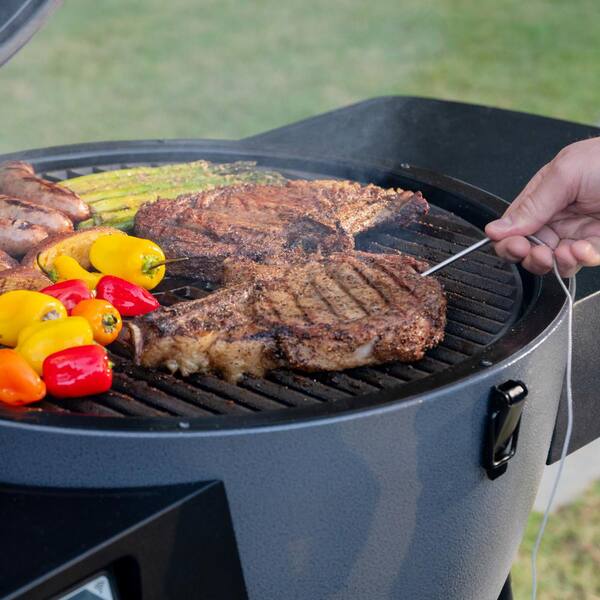 Akorn Auto-Kamado 20-inch Digital WiFi Charcoal Grill in Gray