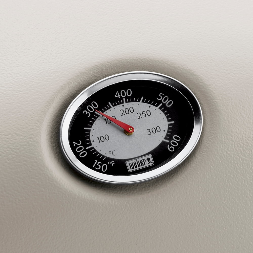 Q 2200 1-Burner Portable Gas Grill, Titanium