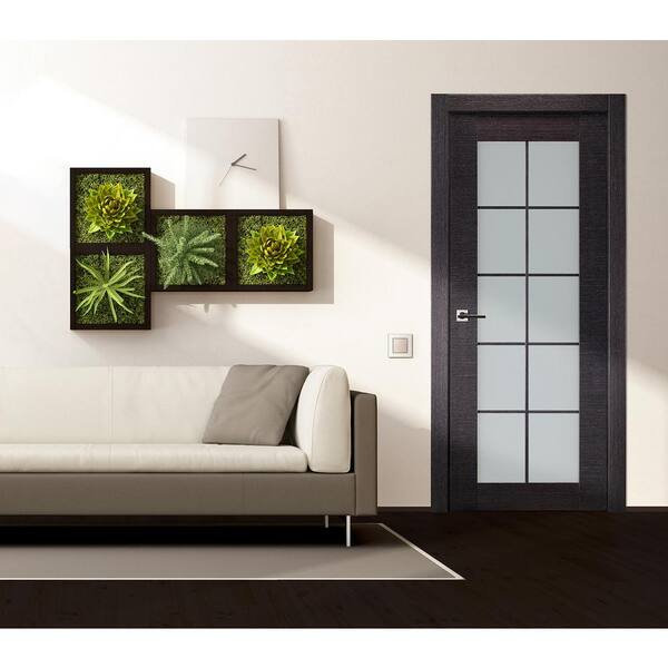 Avanti 32 in. x 80 in. 10-Lite Right-Hand Frosted Glass Black Apricot Solid Core Wood Single Prehung Interior Door