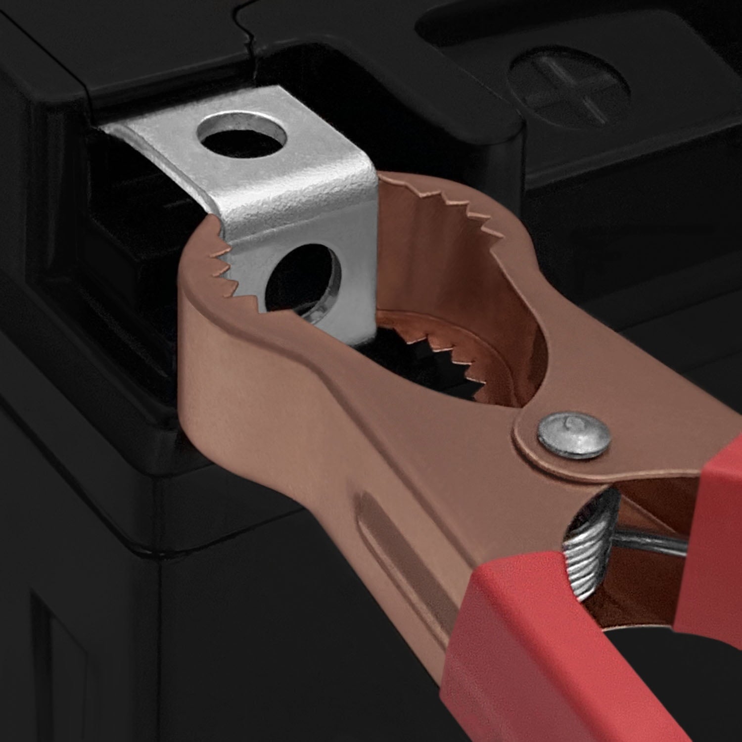 YTZ14S Replaces Honda VT750RS, C2B Yamaha FZS1000 FZ1 + 12V 2A Chargr