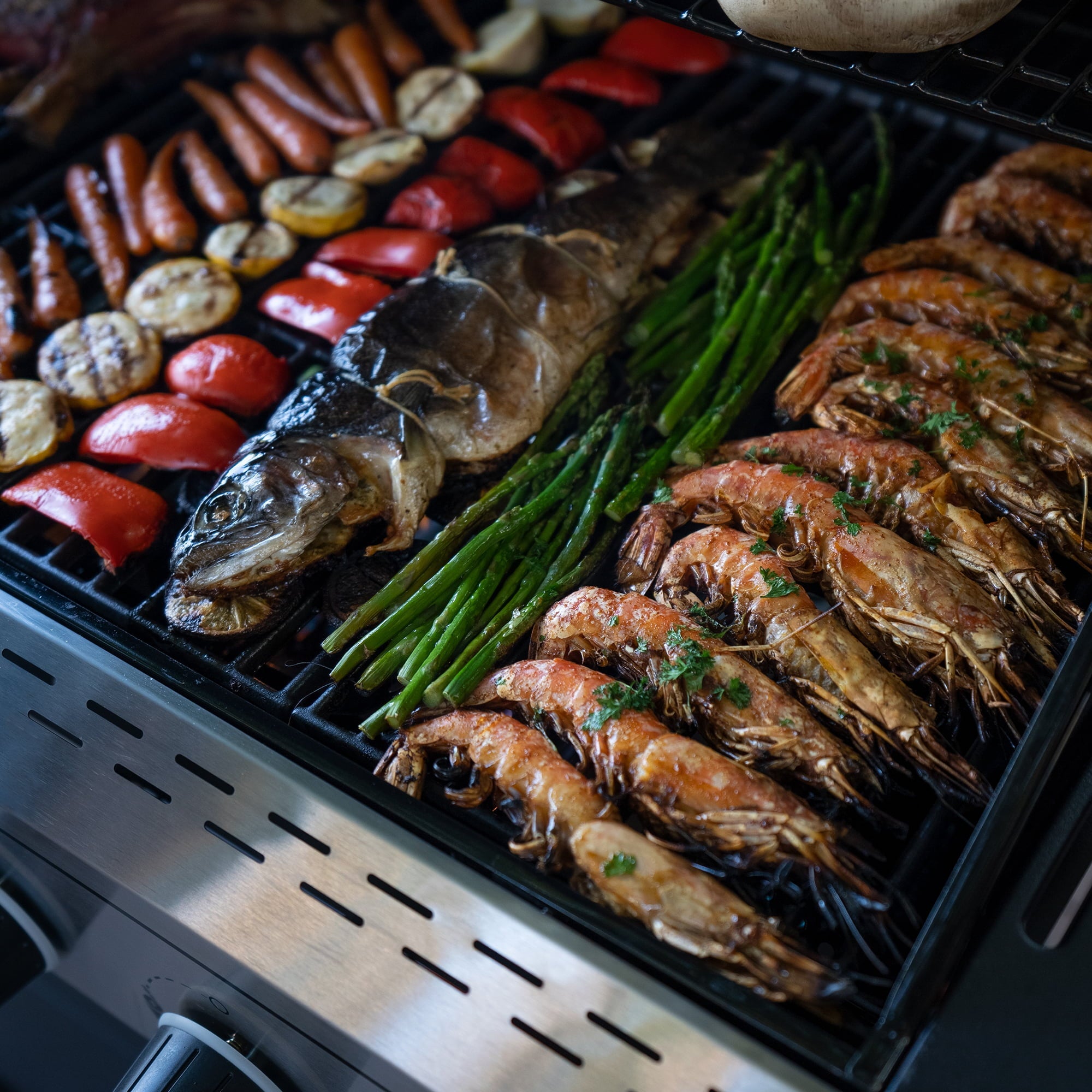 Megamaster 6-Burner Propane Gas Grill With Side Burner