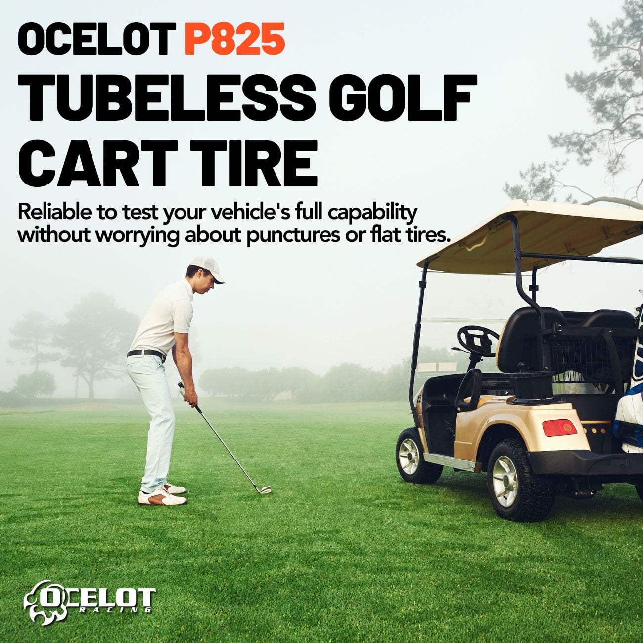 205/65-10 Ocelot P825 Golf Cart Tire