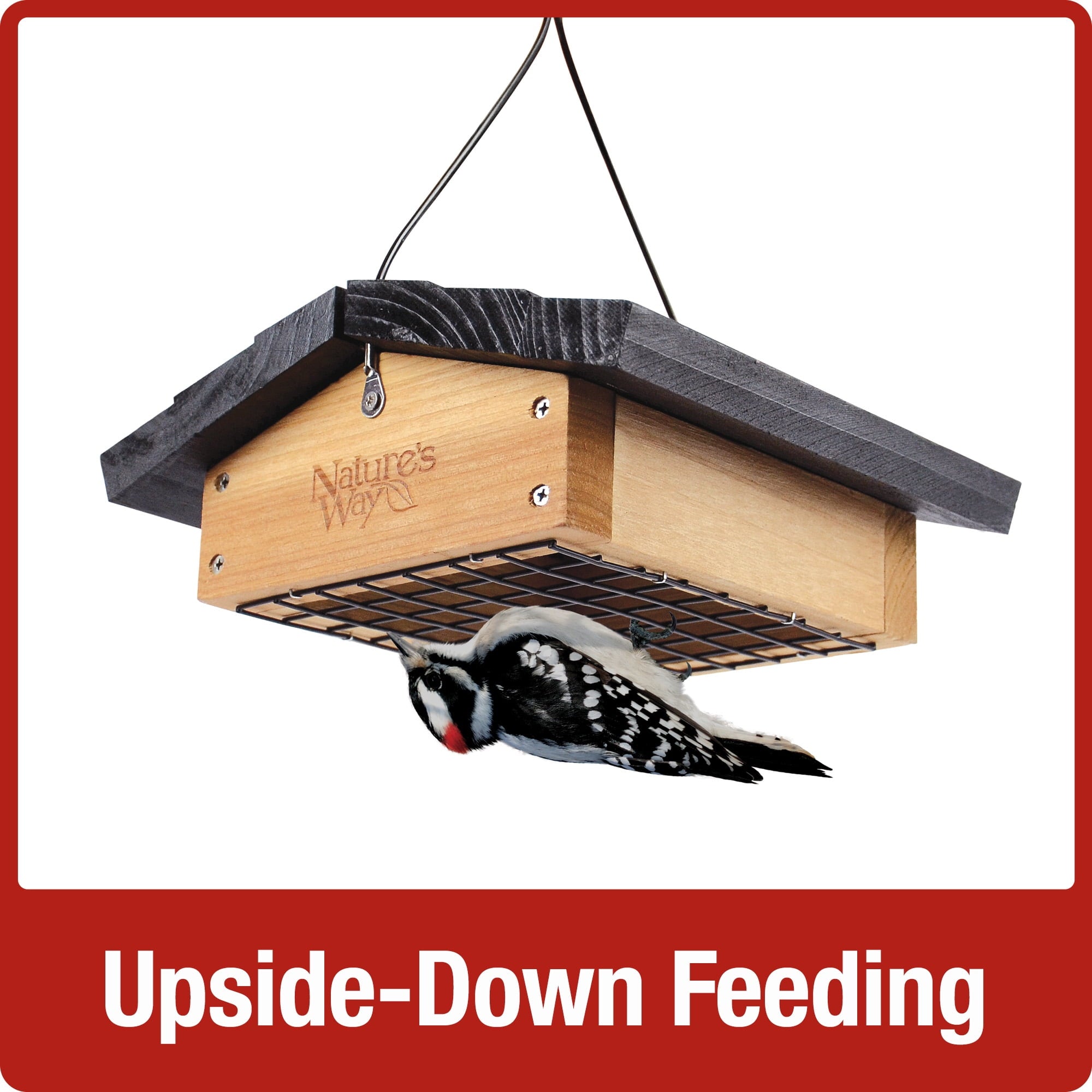 Nature's Way Cedar Suet Upside-Down Bird Feeder 1 Cake, Brown