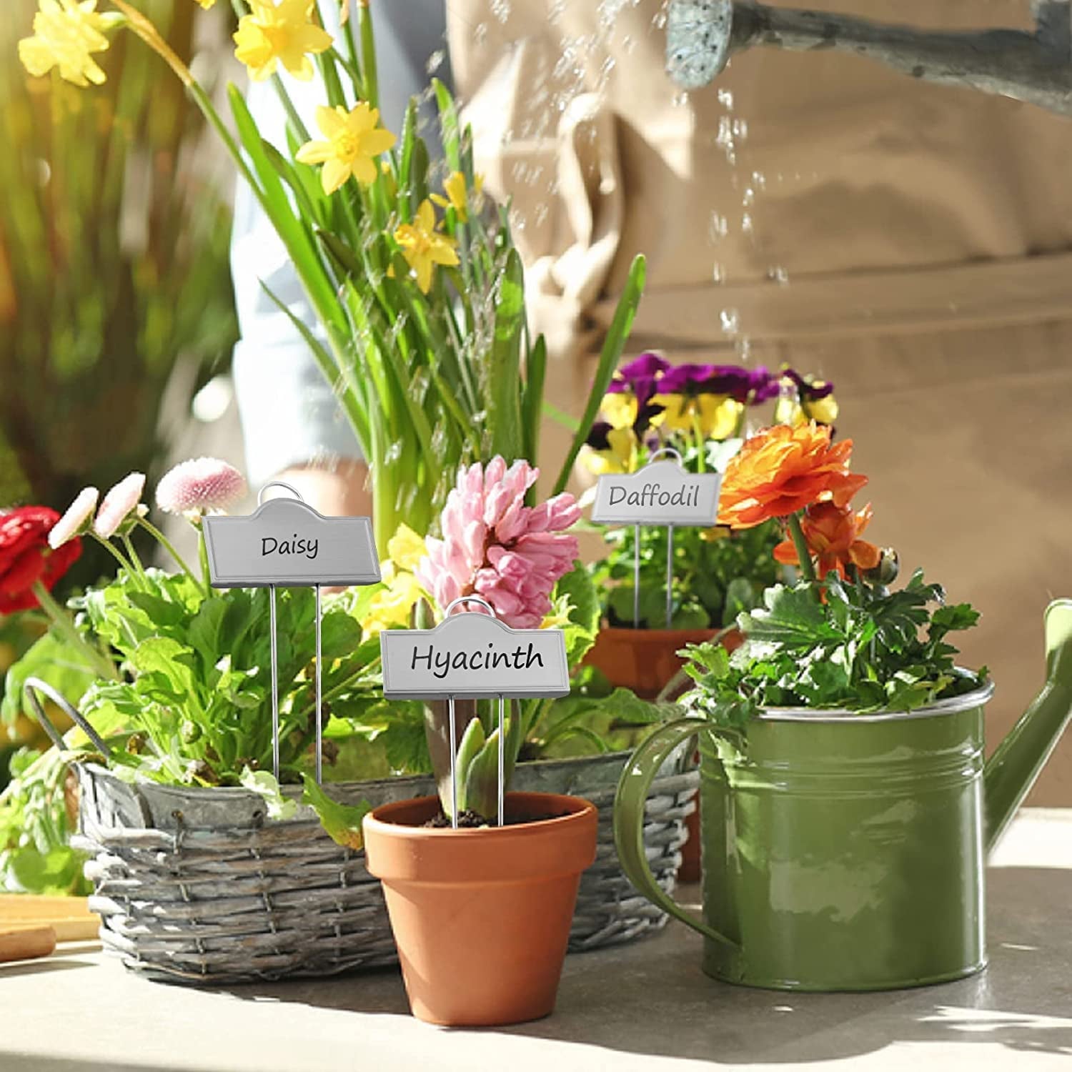 25 Pack Metal Plant Labels Garden Plant Tags Weatherproof Garden Markers - Silver