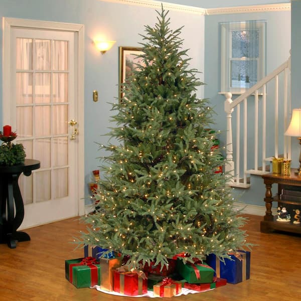 6.5 ft. Frasier Grande Tree with Clear Lights
