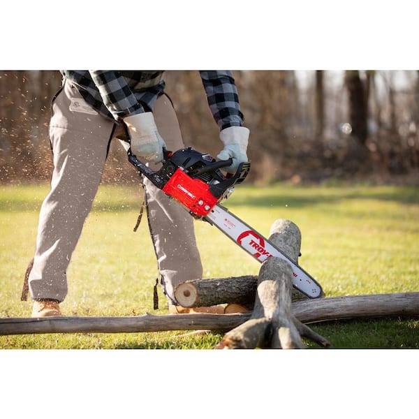 20 in. 46 cc Gas 2-Cycle Chainsaw with Automatic Chain Oiler and Heavy-Duty Carry Case Included