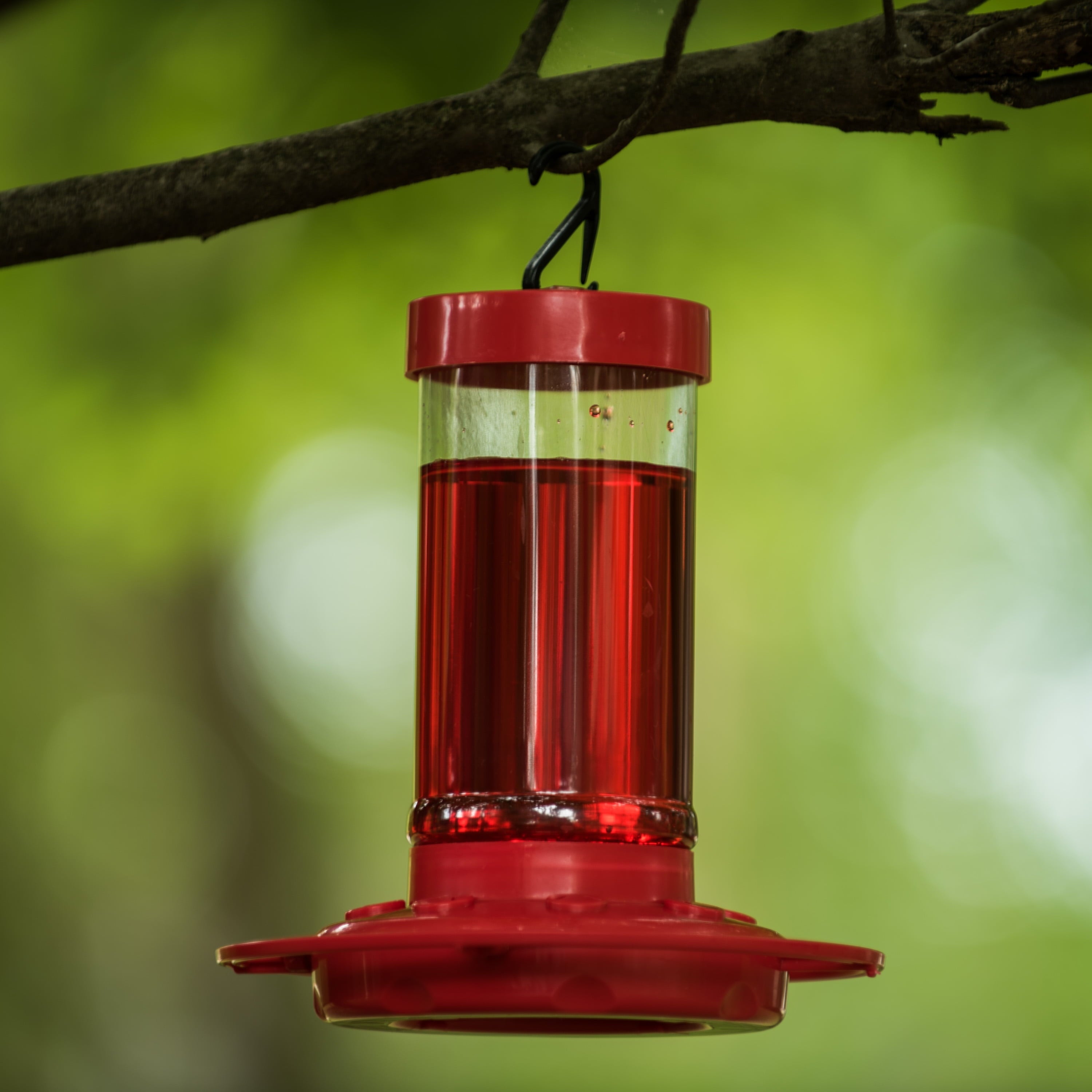 First Nature Hummingbird Feeder, 16 oz, Red