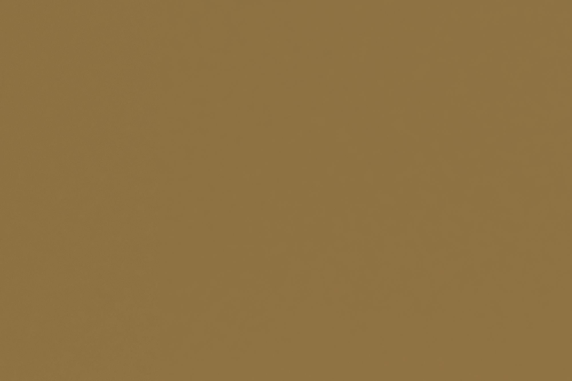 DHP Rosedale Metal Canopy Poster Bed Frame, Queen, Gold