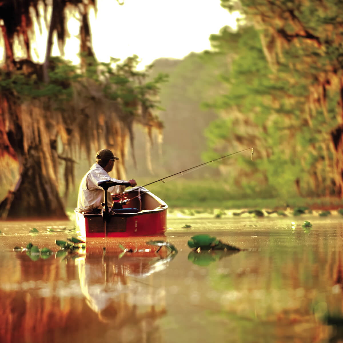 Minn Kota Endura C2 50 Transom-Mount Trolling Motor, 12V, 36