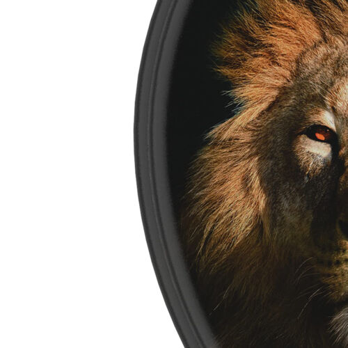 Sanilo 358 Elongated Soft Close Lid Molded Wood Adjustable Toilet Seat(Open Box)