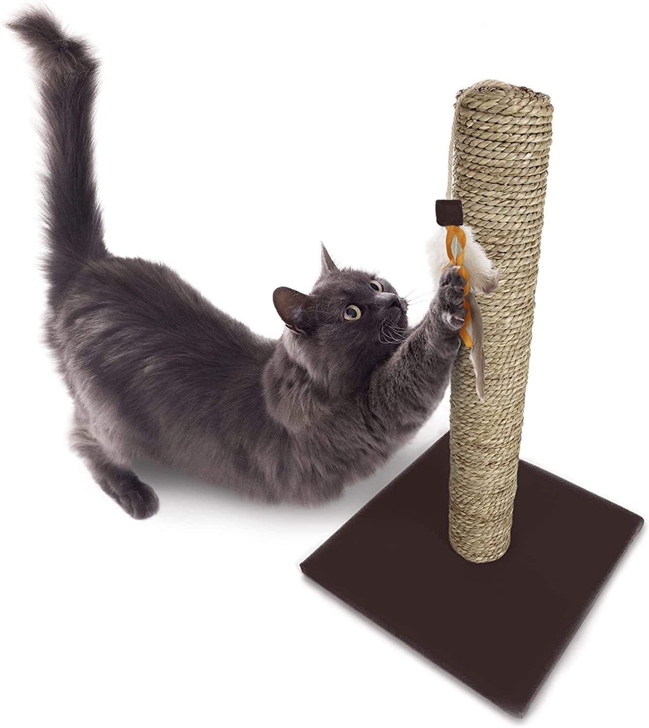 Simply Scratch Cat Scratch Post with Feather Cat Toy - Seagrass