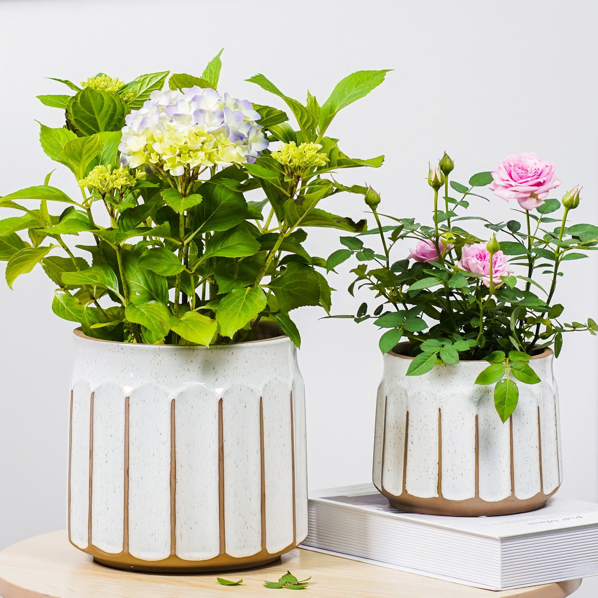 Better Homes & Gardens Pottery 6