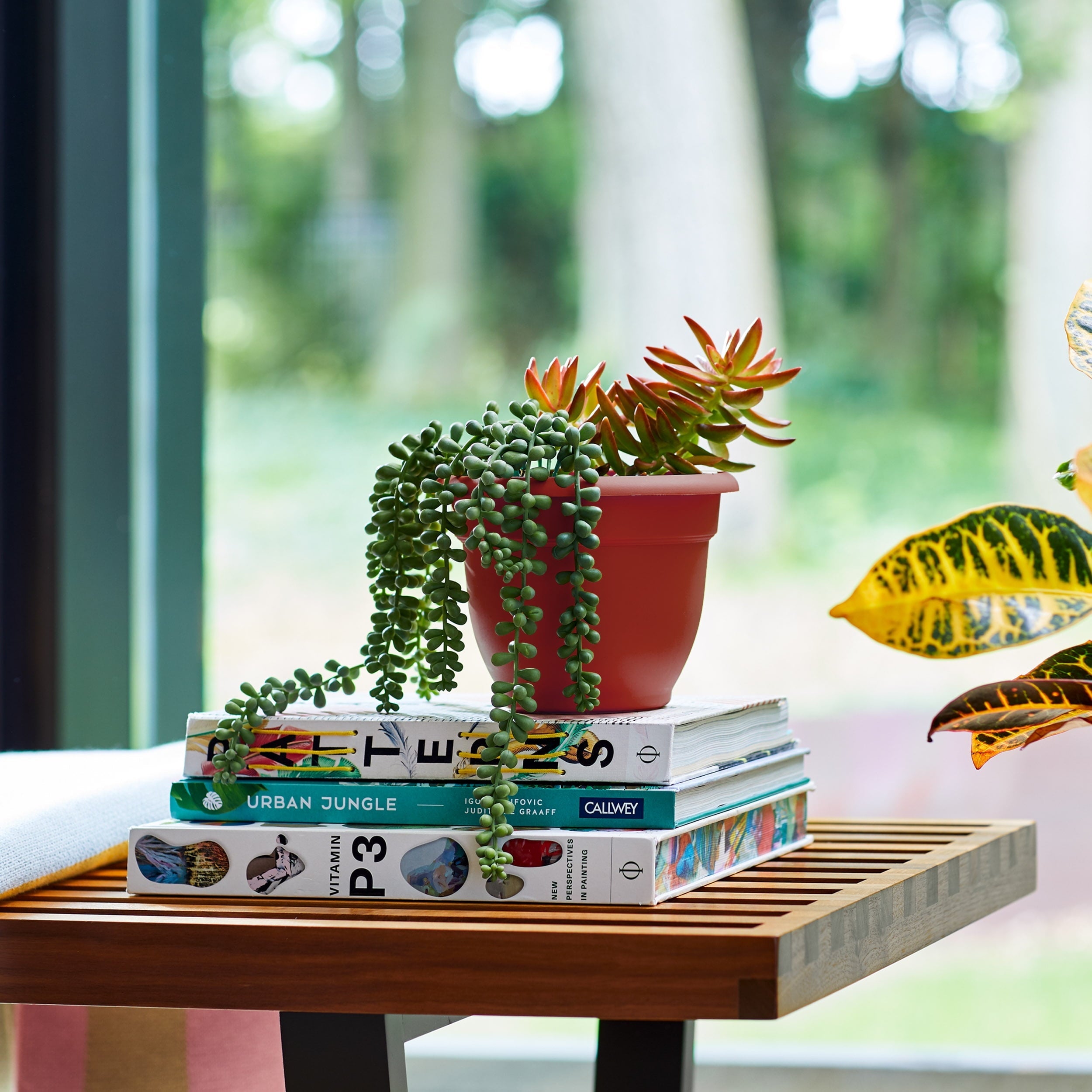 Bloem 6-in Ariana Plastic Round Planter 3-Pack with Self-Watering Inserts - Burnt Red