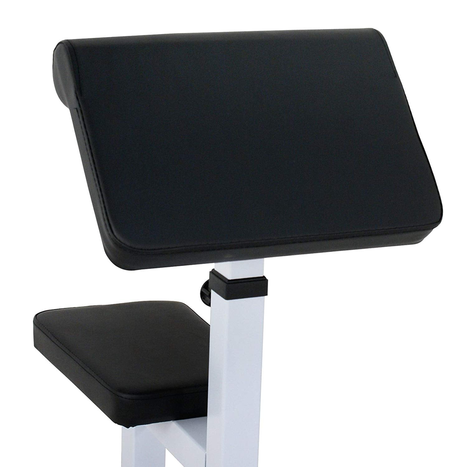 ZENSTYLE Arm Curl Weight Bench Seated Preacher Isolated Dumbbell Biceps 550LBS Arm Rest Adjustable