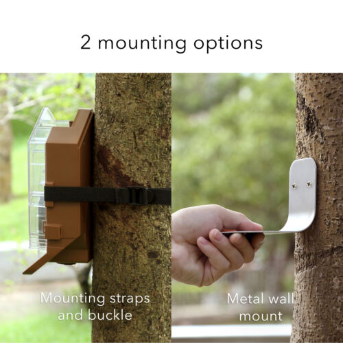 Wasserstein Bird Feeder Smart Camera Case Compatible with Ring, Blink & Wyze Cam