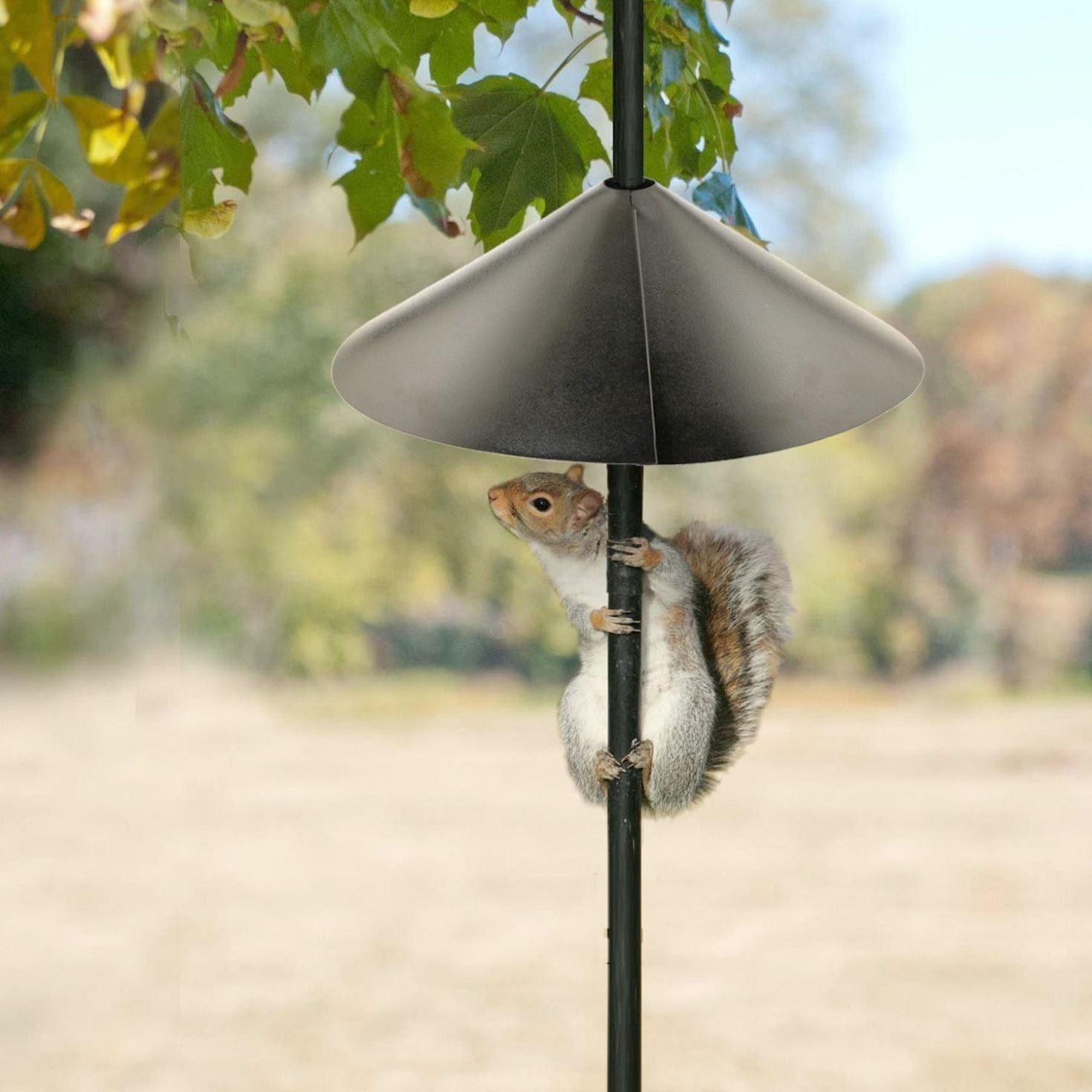 Audubon Wrap Around Metal Squirrel Baffle 18 in Diameter