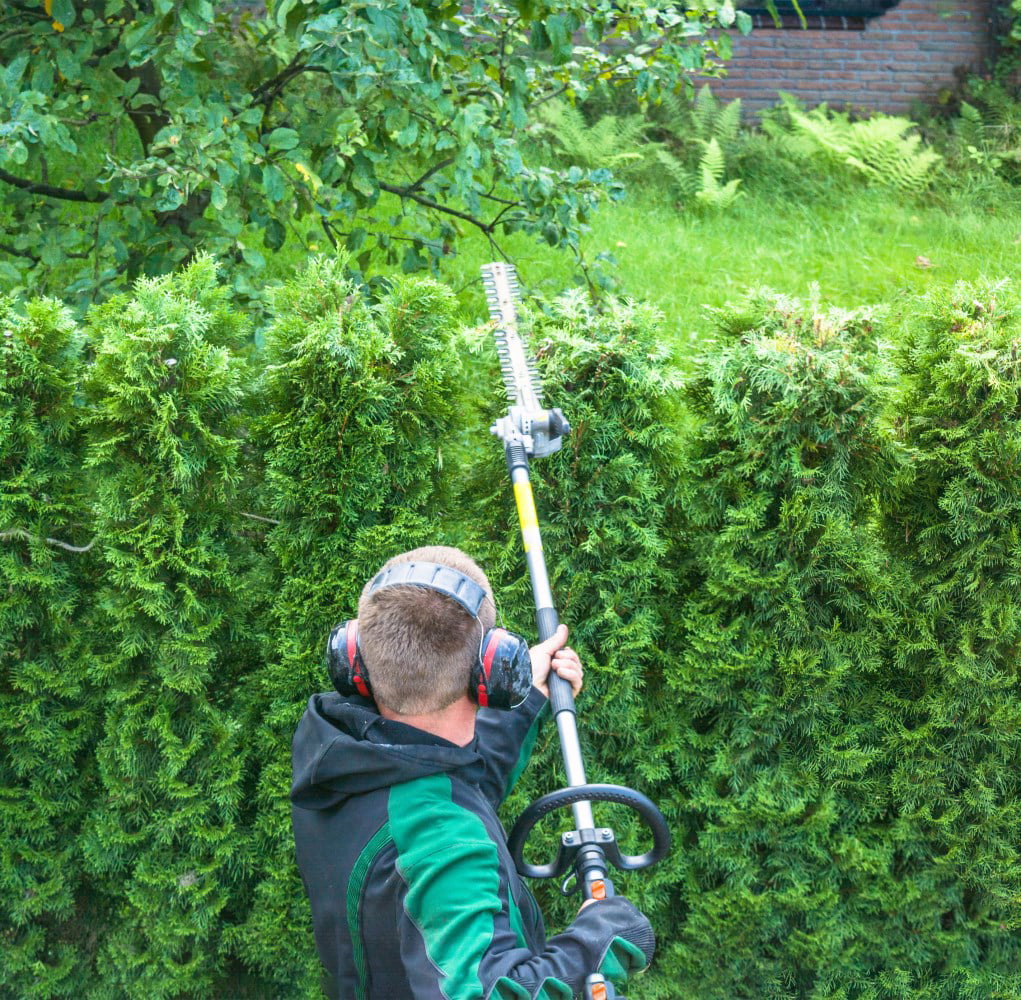 Maxtra 42.7CC 2 Stroke 1.5HP 1100W Gas Pole Chainsaw Pruner Trimmer with Adjustable Length 11.35 Feet to 8.2 Feet