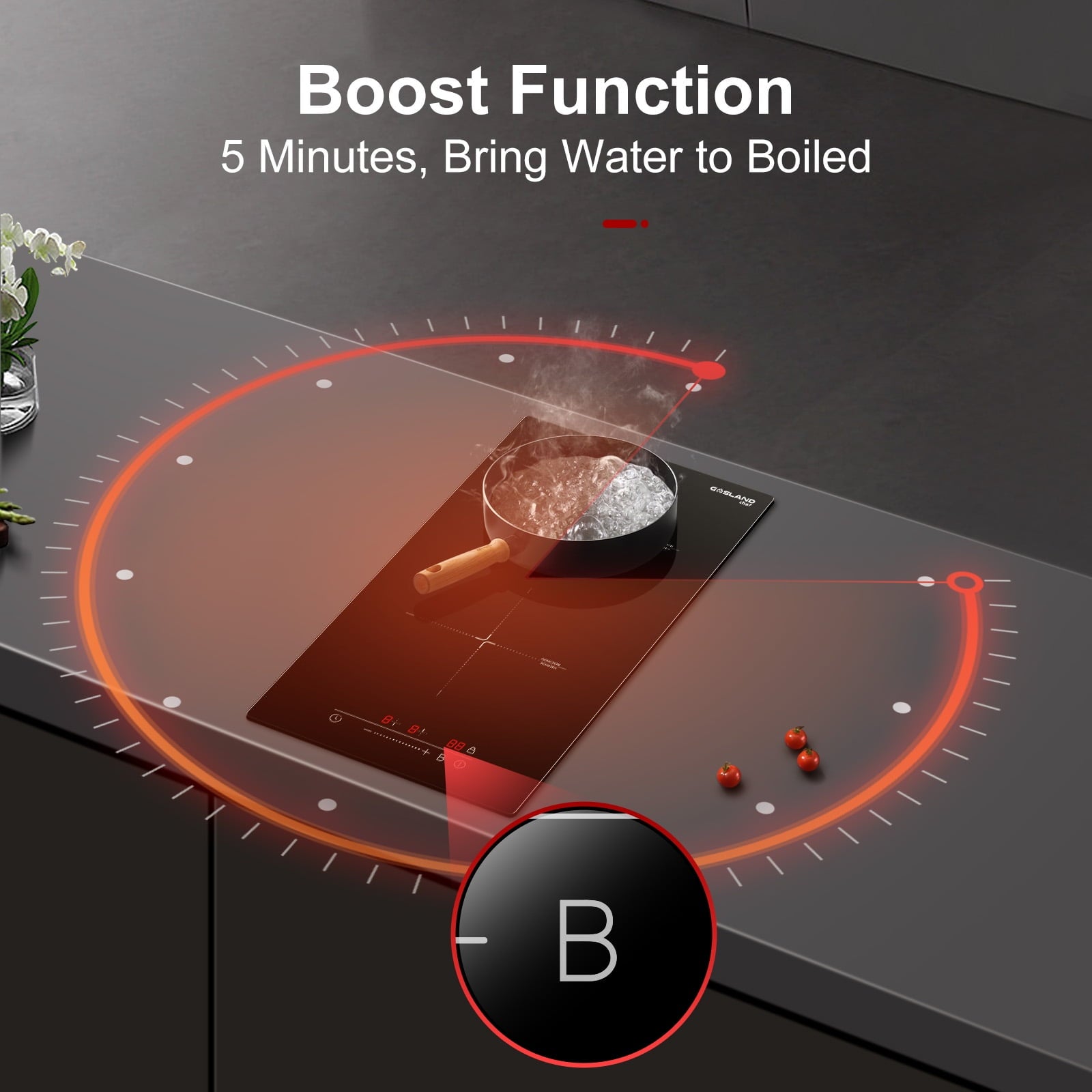 GASLAND Chef IH30BF 12