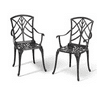 NUU GARDEN 2 PCS Cast Aluminum Dining Chairs ,Outdoor Patio Bistro Chairs Set of 2 ,Stackable Patio Dining Chairs with Armrest,Black with Gold-Painted Edge