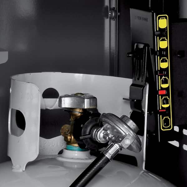 Spirit E-215 2-Burner Propane Grill in Black