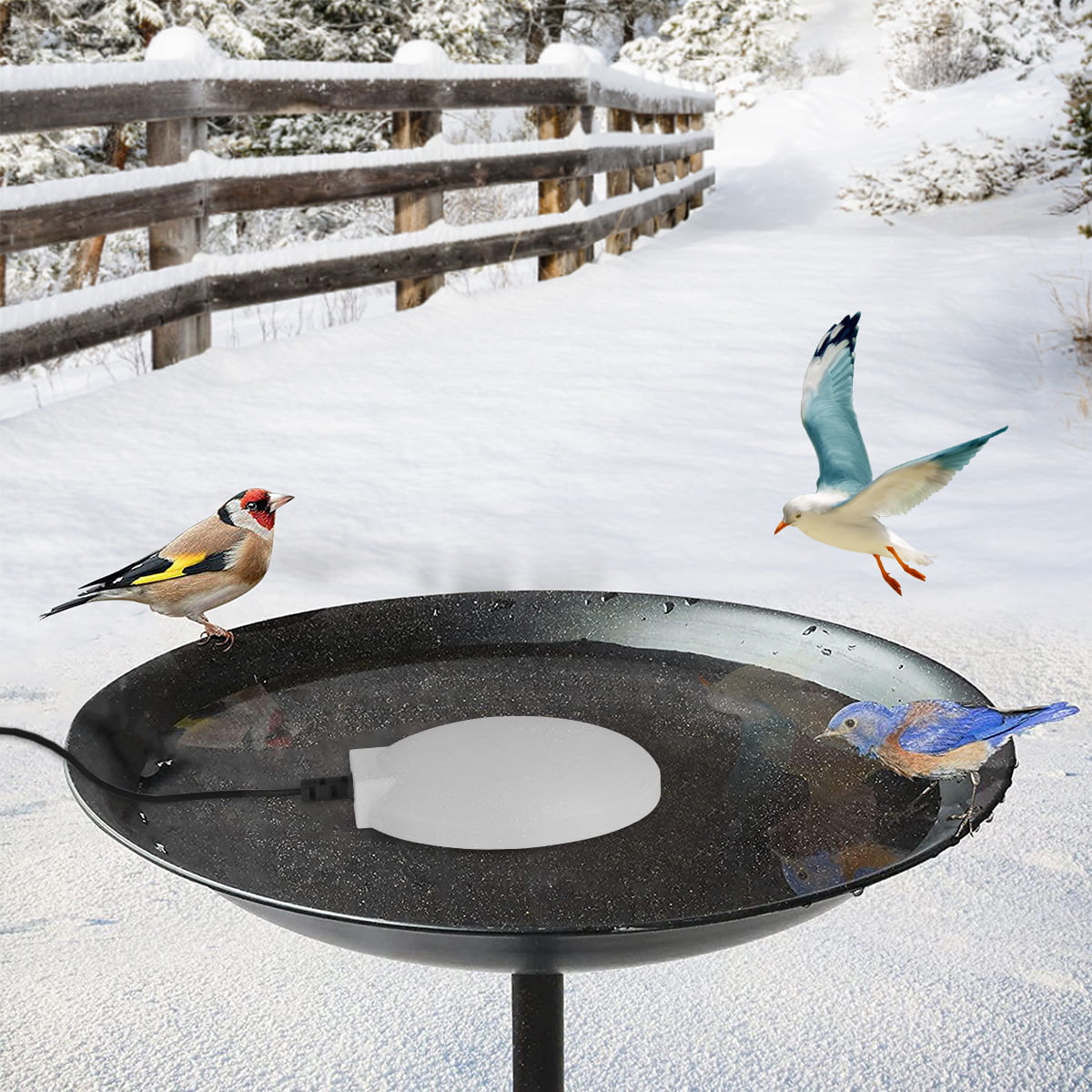 Winter Bird Bath Heater for Outdoor Safe Birdbaths Deicer with Thermostatically Controlled