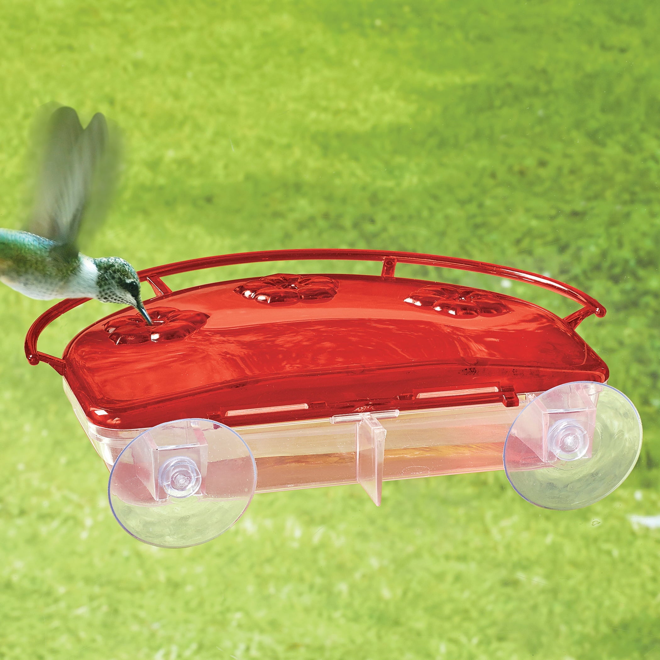 Collections Etc Jewel Box Suction Cup Window Hummingbird Feeder, 8 oz.
