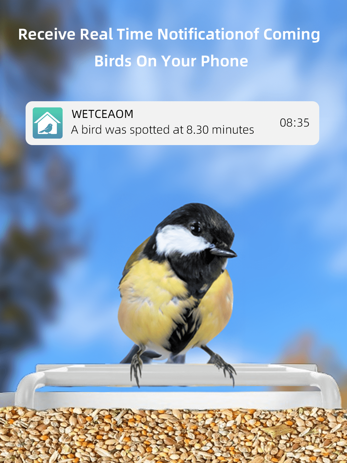 Bird Feeder with Camera,YBLOC Bird House,AI Smart Bird Feeder,Camera 1080P HD Video,AI Identify Bird,Wifi ,Blue