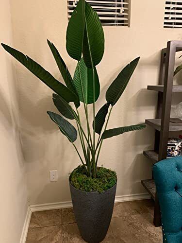 5FT Silk Bird Of Paradise Palm Tree Artificial Phoenix Areca Banana Potted Plant