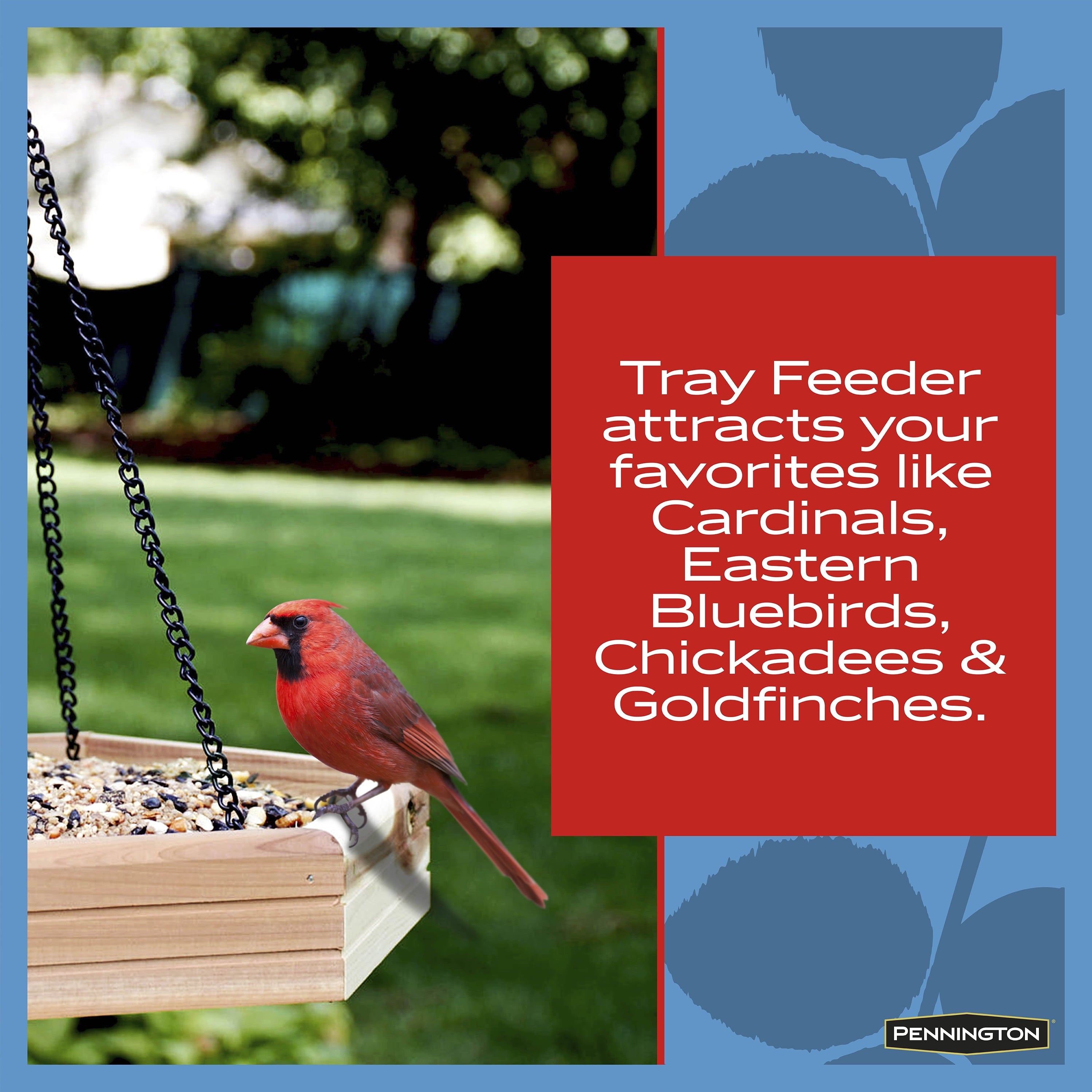 Pennington Red Cedar 2 in 1 Wild Bird Bath and Wild Bird Feeder, 4 lb. Capacity