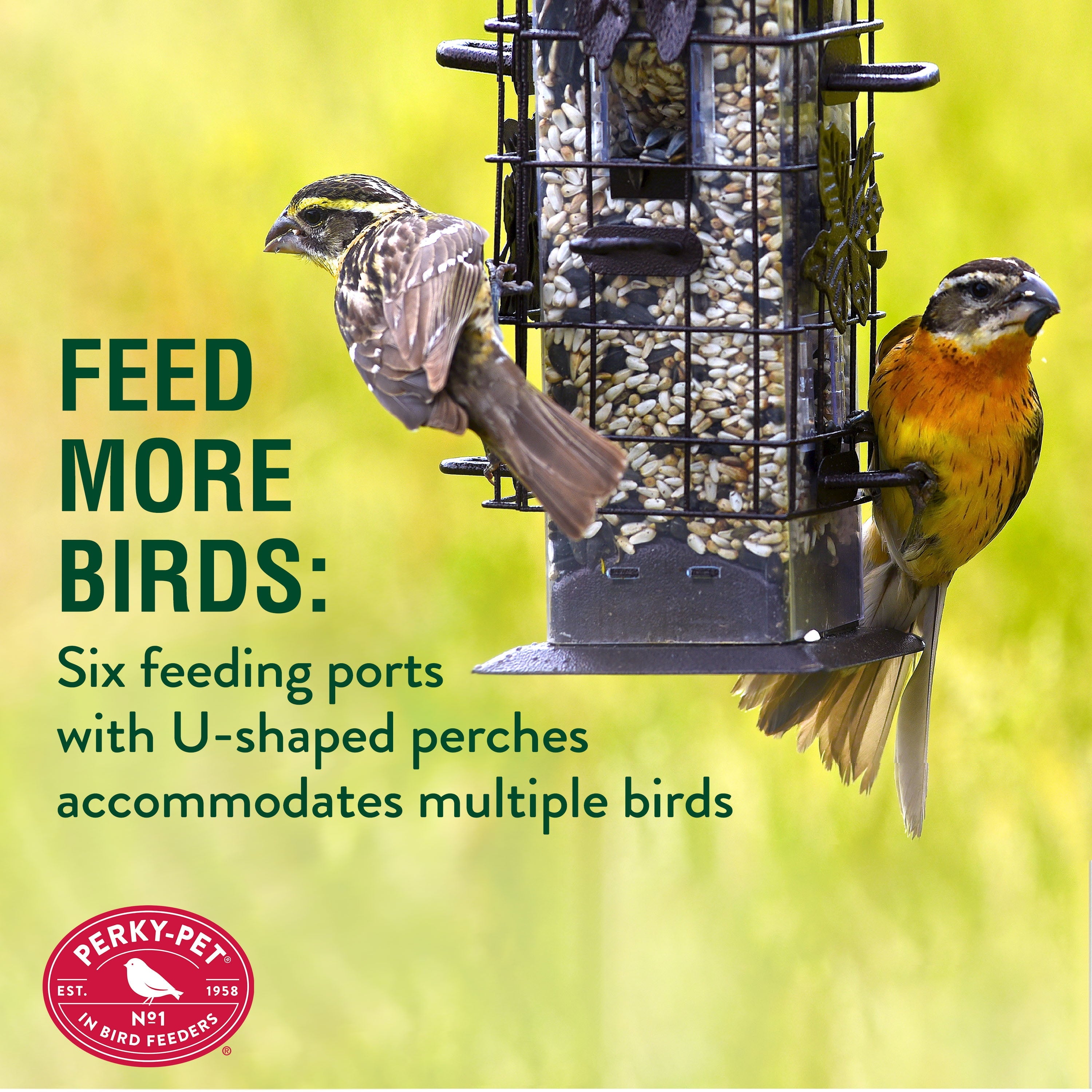 Perky-Pet Black Squirrel-Be-Gone Wild Bird Tube Feeder - 2 lb Capacity